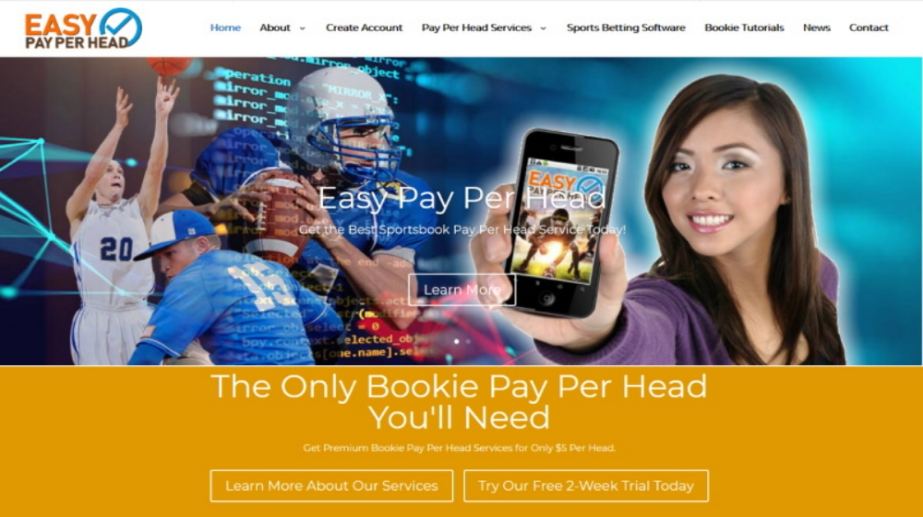 Easy Pay Per Head Review