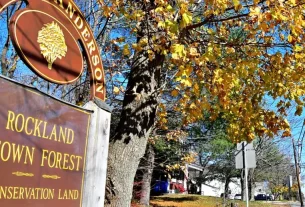 Woman Escapes Attack After Loyal Dog Defend Her