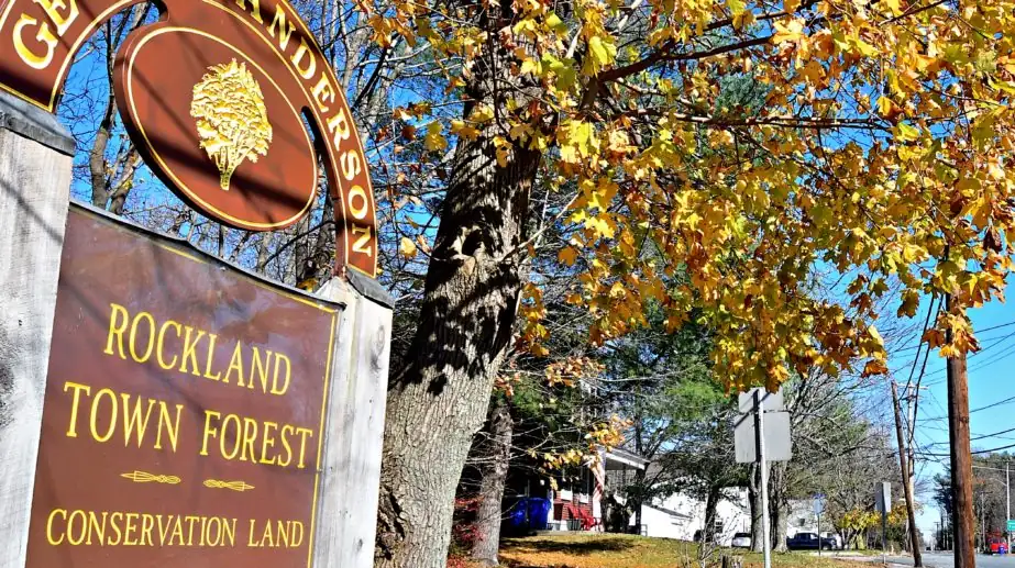 Woman Escapes Attack After Loyal Dog Defend Her